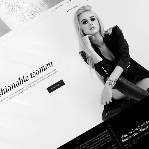 JOOMLA TEMPLATE ERIS300